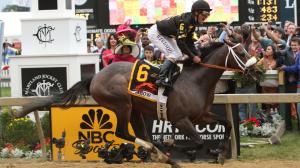 By the Numbers: The 2026 Preakness Stakes 